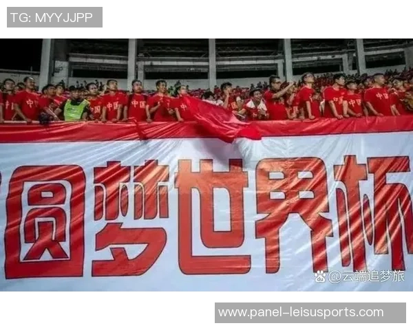 中国足球世界杯之路：追梦之旅与未来展望